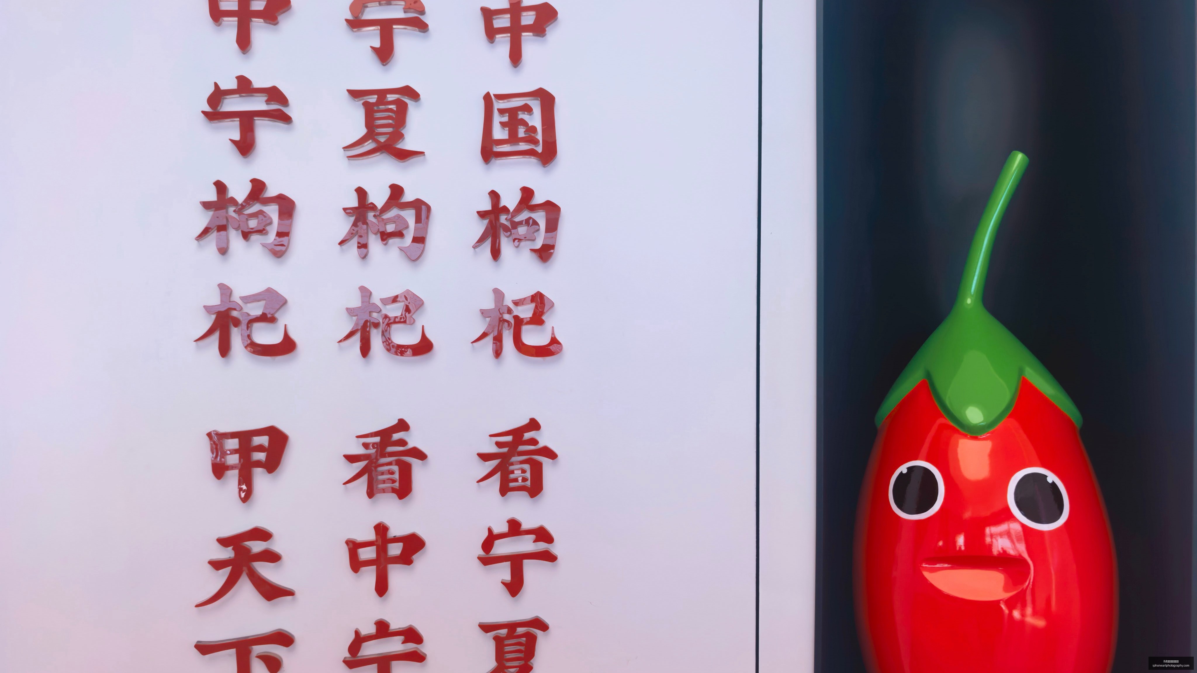 体育品牌电,竞新品发布,引领潮流,IM体育,IM体育电子,电子竞技